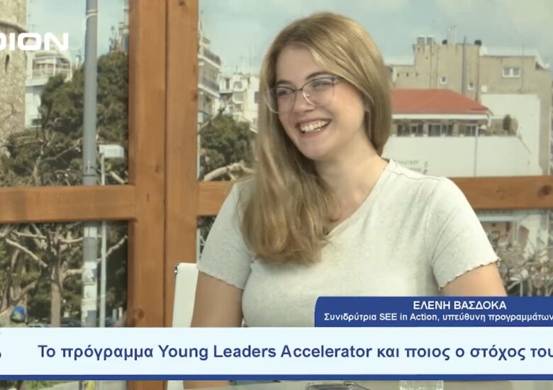Presentation of the Young Leaders Accelerator project on DION TV